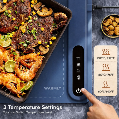 Smart Electric Food Warmer